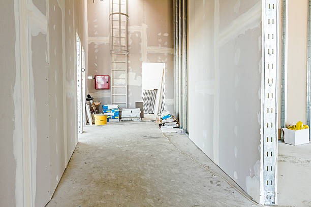 Trusted Land O Lakes, FL Drywall & Painting Services Experts